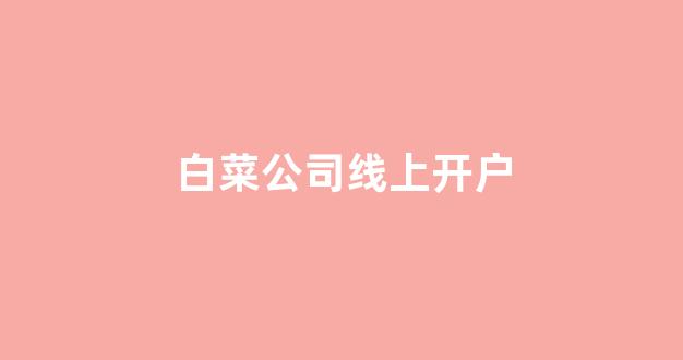 华人策略