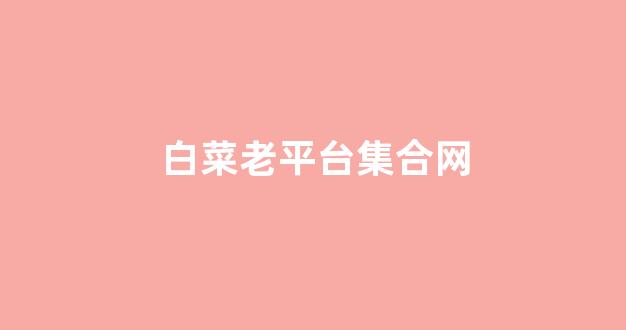 白菜公司下载